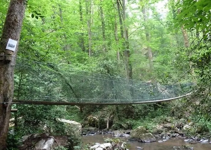 Tipis Du Petit Buisson *